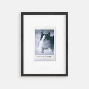 Custom Pet Portraits: Cat Portrait - Instant Film Poster