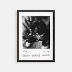 Custom Pet Portraits: Cat Portrait - California Poster