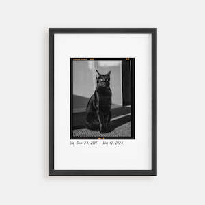 Custom Pet Portraits: Cat Portrait - Film Negative Poster