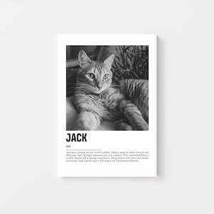 Custom Pet Portraits: Cat Portrait - Parisian Canvas