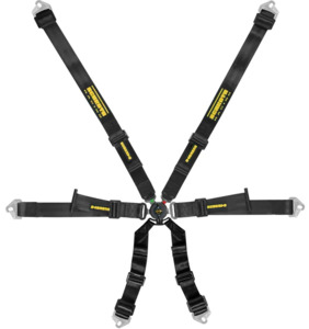 Schroth: Schroth Profi 2x2 Harness