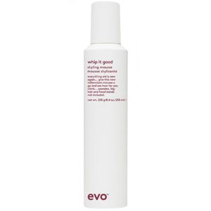Evo Styling mousse Evo whip it good Jam hair Wellington Evo hair