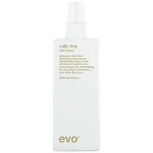 Products: Evo Salty Dog spray Salt Spray Evo Jam Hair Wellington NZ