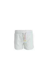 Declan Board Short - Variegated Stripe Cenote