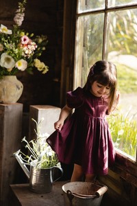 Girls Dresses: Organic Cotton Frannie Dress - Fig