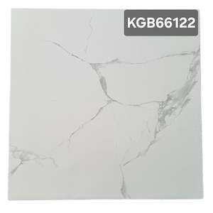 Tiles: Porcelain Tile 600x600mm