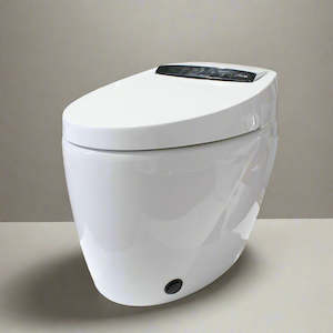 Bathroom: Smart Toilet - Auto Flush, Heated Seat