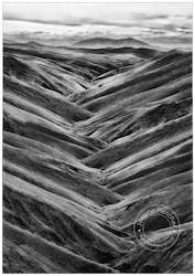 Framed Photography: Unframed Print - Lauder Faces Abstract