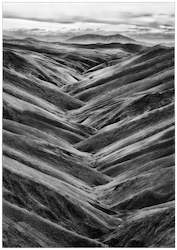 Framed Photography 1: Framed Print - Lauder Faces Abstract