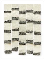 Framed Photography 1: Limited Edition Framed Print - Tapestry of a Fallen Forest