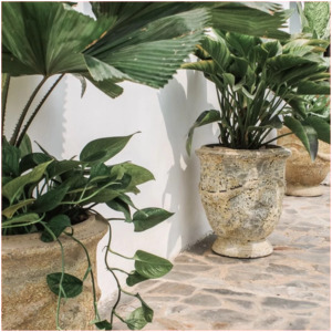 Pots Garden Features: Atlantis French Planter