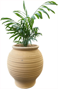 Crete – Koronios Urn