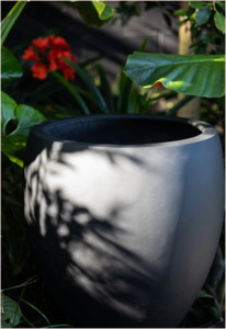 Pots Garden Features: Franoma Amarillo Planter