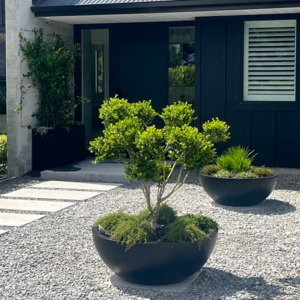 Pots Garden Features: Bianca Bowl