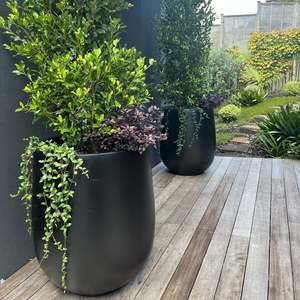 Pots Garden Features: Bianca Palm Pot