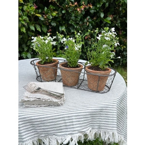 Aged Terracotta 3 Pot Wire Basket
