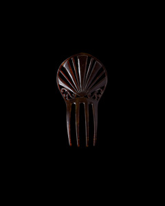 Objects 1: Tortoiseshell Hairpin