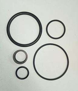 Scania Gearbox: O RINGS KIT GRS RANGE SCANIA