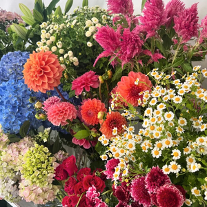 Bouquets: Florist’s Choice Bright