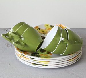 Products: Duraware Picnicware set 18 pieces