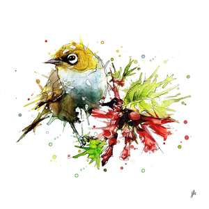 Silvereye Canvas Print