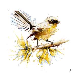 Fantail Canvas Print