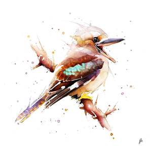 Best Sellers: Kookaburra Canvas Print