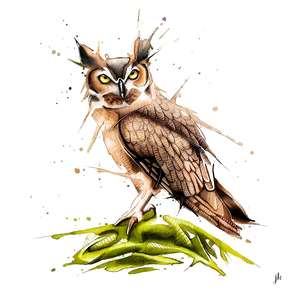 Canada Wildlife Art: Great Horned Owl Canvas Print