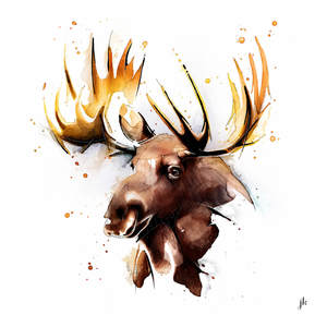 Canada Wildlife Art: Moose Canvas Print