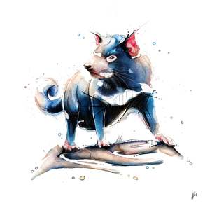 Australia Animal Art: Tasmanian Devil Canvas Print