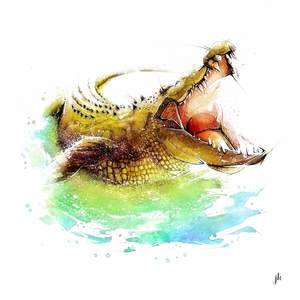 Crocodile Canvas Print