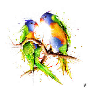 Australia Animal Art: Lorikeets Canvas Print