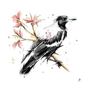 Australia Animal Art: Magpie Canvas Print