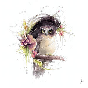 Bird Art Nz: Morepork Canvas Print