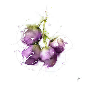 All: Grapes Canvas Print