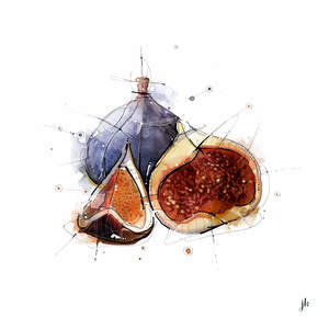 All: Figs Canvas Print