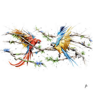 Flying Macaws Canvas Print