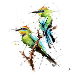 All: Blue-Tailed Bee-Eater Canvas Print