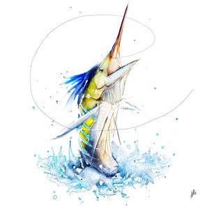 Fish Art Nz: Striped Marlin Canvas Print
