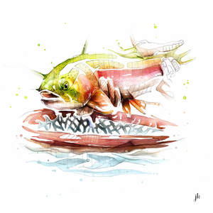 Rainbow Trout Canvas Print