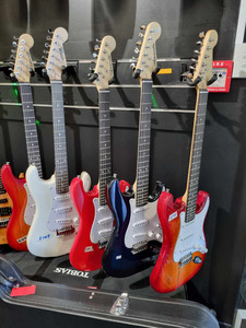 Products: Electric Guitar