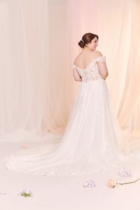 Curve Collection: Tory