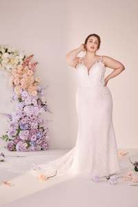 Curve Collection: Tate