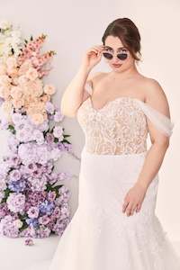 Curve Collection: Terri