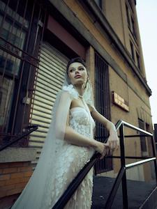 Sheath Collection: Sakura