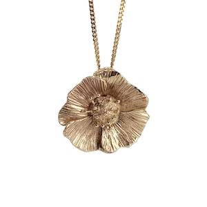 Collections: Modern Medium Poppy