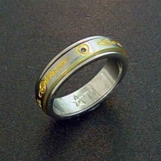 Products: Titanium & Diamond Rotating Band Ring