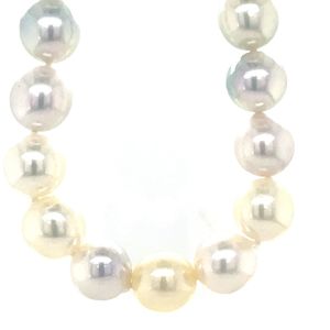 Silver Jewellery: Single Strand 42x 9-9.5mm Multi Colour Akoya Pearls w Stg Silver 9mm Button Clasp