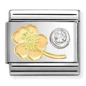 Jewellery Cubic Zirconia: Nomination CZ & Forget Me Not Charm