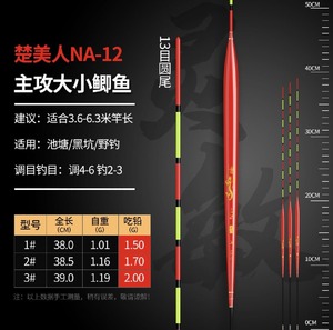 Products: 楚美人纳米漂39cm 1.19g 吃铅2.0g配送漂管 - JIGGLE LURE FISHING TACKLE WHOLESALE